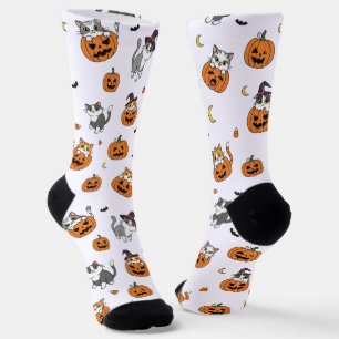 Calcetines Gatos y calabazas de Halloween