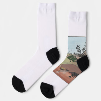 Calcetines GAZA Peace socks