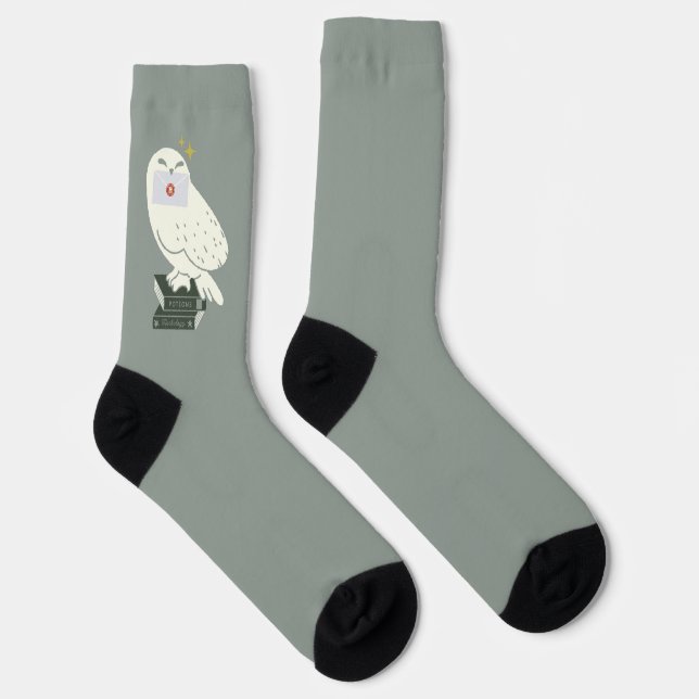 Calcetines Hedwig With Letter Whimsical Drawing (Derecha)