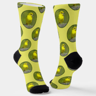 Calcetines Hembra de Oriol de huerta en primavera Foto origin
