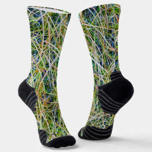 Calcetines Hierba fina ornamental de juncia