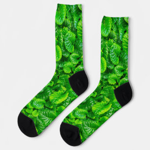Calcetines Hojas Verdes Lujuriosas