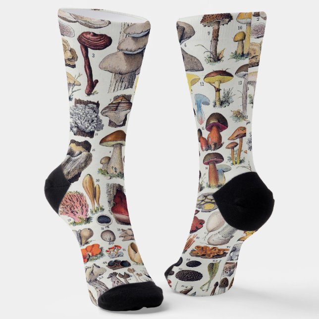 Calcetines Hongos 2 (Angular)
