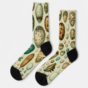 Calcetines Huevos de Pájaros Antiguos Arte de Hueva de Pescad