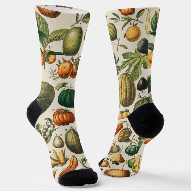 Calcetines Ilustracion científico botánico de frutas (Angular)
