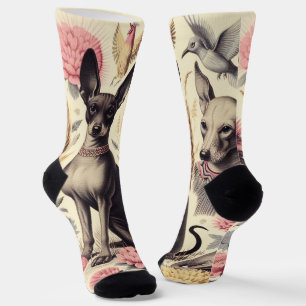 Calcetines Ilustracion retro Xoloitzcuintle Seamless