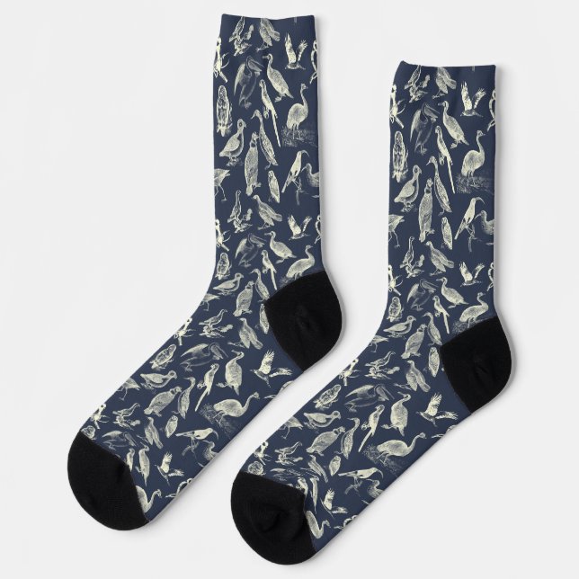 Calcetines Ilustraciones de aves antiguas Grabados Crema Azul (Izquierda)