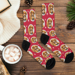 Calcetines Imagen de perro personalizado Papel rojo