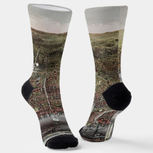 Calcetines Impresión de Currier y Ives de Brooklyn, 1886