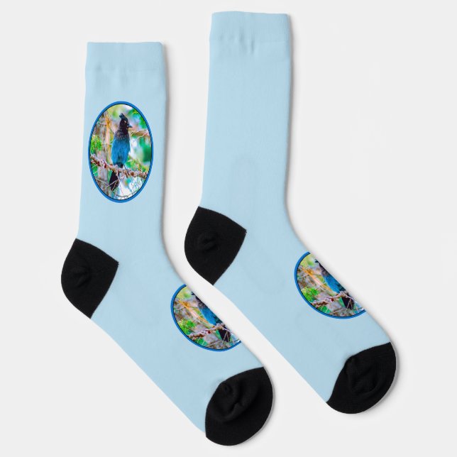 Calcetines Jay de Steller - Fotografía original (Derecha)