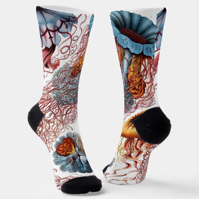 Calcetines Jellyfish vintage por Ernst Haeckel, Discomedusae (Angular)