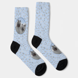 Calcetines Keeshond Pair de Kees pintura animal original