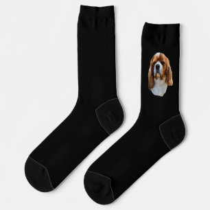 Calcetines King Charles Spaniel, Socks de tripulaciones