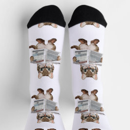 Calcetines Kitten News Socks