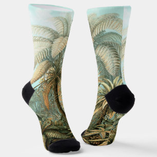 Calcetines Kunstformen der Natur, Filicinae - Ernst Haeckel
