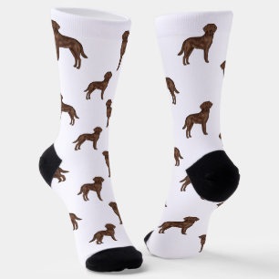 Calcetines Labrador Retriever Chocolate Marrón Patrón de Perr