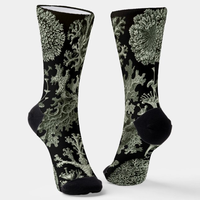 Calcetines Lichen de Ernst Haeckel, Vintage Nature Plants (Angular)