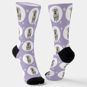 Calcetines Lindo Lavanda Morado Foto de Mascota Personalizada