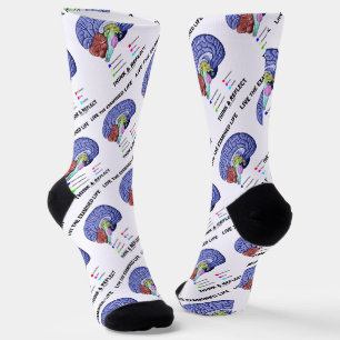 Calcetines Live The Examined Life Think & Reflect Advice