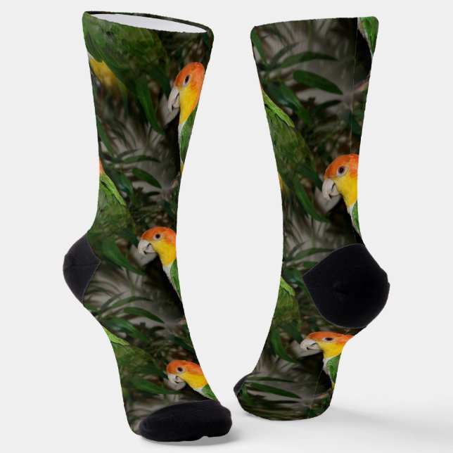 Calcetines Loro Caique blanco con vientre y árbol de bambú (Angular)