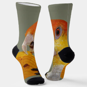 Calcetines Loro Caitero Blanco Belmentado Con Juguete De Bloq