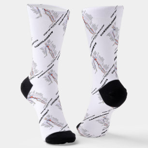 Calcetines Los Cardiólogos Simplemente Van Con La Circulación