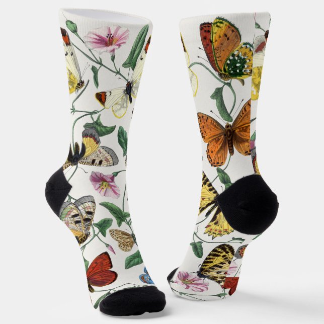 Calcetines Mariposas & Polillas 2 (Angular)