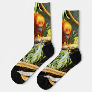 Calcetines Marmoset naranja, zócalos de la tripulación