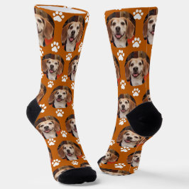 Calcetines Mascota de Naranja quemado lindo foto y pintura im