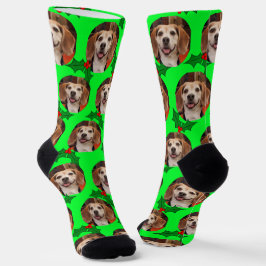 Calcetines Mascota Foto Green Holly Cute Navidades