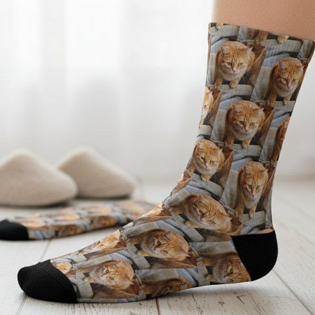 Calcetines Mascota Foto Personalizada Gato De Perro Divertido (Subido por el creador)