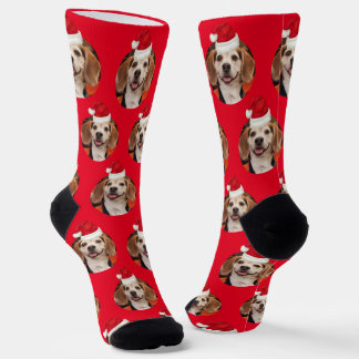 Calcetines Mascota Foto Red Santa Hats Cute Navidades