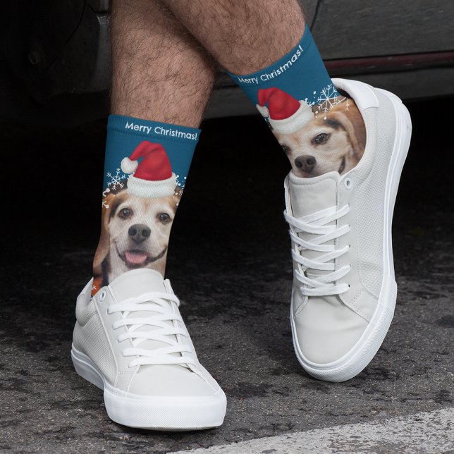Calcetines Mascota lindo foto Navidades de Santa Hat Blue (Subido por el creador)
