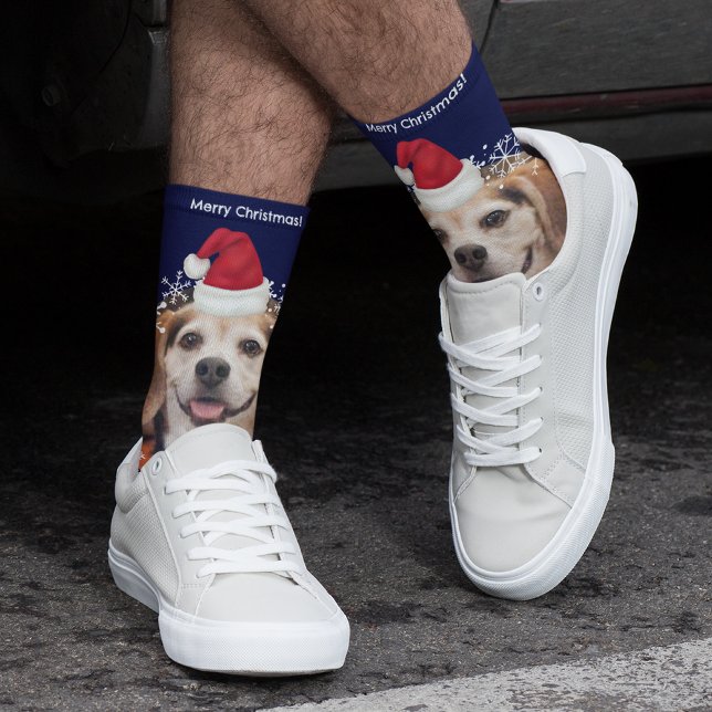 Calcetines Mascota lindo foto Navidades de Santa Hat Blue (Subido por el creador)