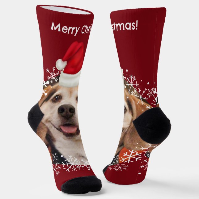Calcetines Mascota lindo foto Red Santa Hat Feliz Navidad (Angular)