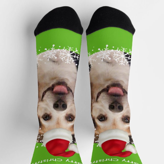 Calcetines Mascota lindo foto Santa Hat brillantes Navidades  (Arriba)