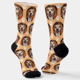 Calcetines Mascota lindo foto y pintura imprimen crema de Nar