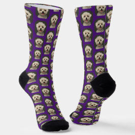 Calcetines Mascota morado divertido foto Personalizado de mod