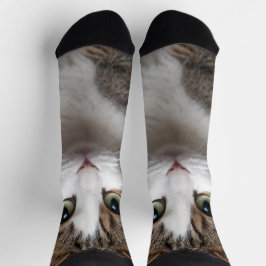 Calcetines Mascota Personalizado personalizado de Cute Tabby 