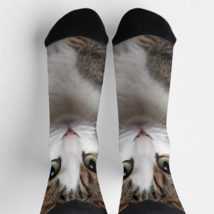 Calcetines Mascota Personalizado personalizado de Cute Tabby 