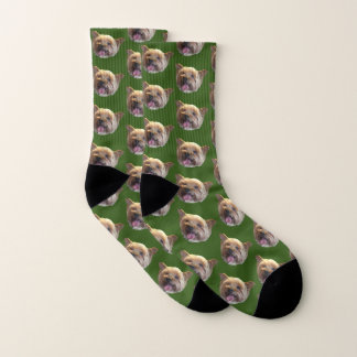 Calcetines Mascota personalizado verde foto memoria Keepsake