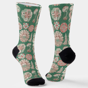 Calcetines Medusa Rosa Vida Marina Ernst Haeckel Póster Verde