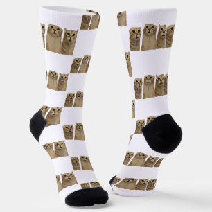 Calcetines Meme de Gatos Tontos con Triple Baba