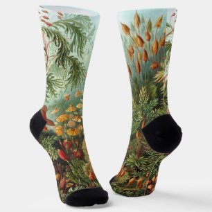 Calcetines Muscinae Vintage, Plantas de musgo por Ernst Haeck