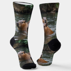 Calcetines Natación De Capybaras En El Río,