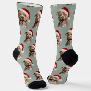 Calcetines Navidad Personalizada Pitbull Personalizada 