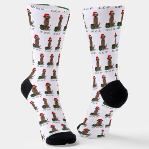 Calcetines Navidades Santa Chocolate Labrador Recupera curios