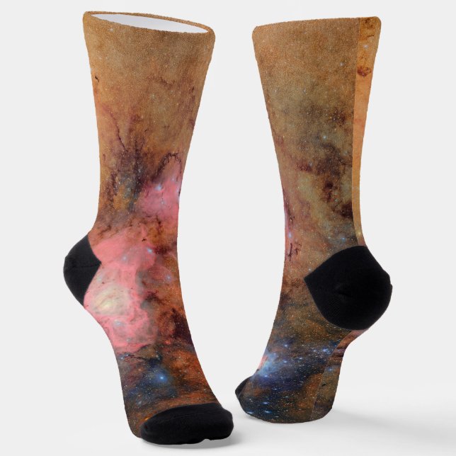 Calcetines Nebuloso de Trifid y Lagoon (Angular)