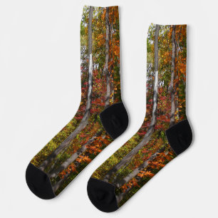 Calcetines Otoño en el bosque Fotografía colorida de otoño