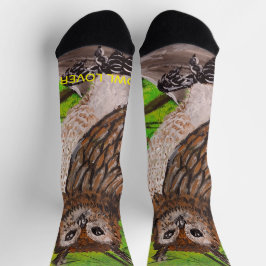 Calcetines Owl Socks